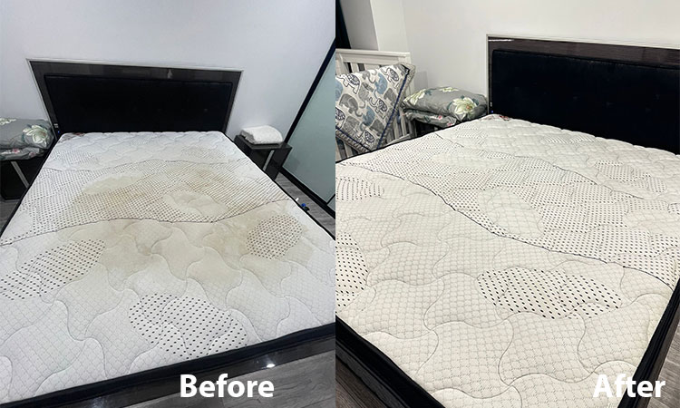 Professional Mattress Cleaning in Australia