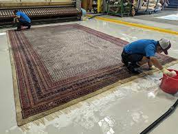 Expert Rug Cleaning Services in Melbourne